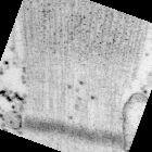 images for training of "Locations" model of Rios et al. J Gen Physiol 2024