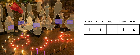 Replication Data for: Improving Computer Vision Interpretability: Transparent Two-level Classification for Complex Scenes