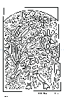 01_ReadMe_MIT_Libraries_Coloring_Book_Peacock.txt