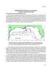 Marine Mammal Stock Assessment Reports by Species/Stock