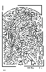 Peacock MIT Coloring Book PNGs, PDF, and txt documents