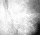 Transmission electron microscopy data for unsupported MoS2