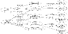 Designing Navajagat OS: A Centralized Quantum Operating System for the Aluxhim Model