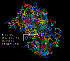 Anthracycline DNA Interactions