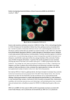 Studies Investigating Potential Inhibitors of Novel Coronavirus (SARS-CoV-2) COVID-19