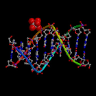 Drug-DNA Intercalation