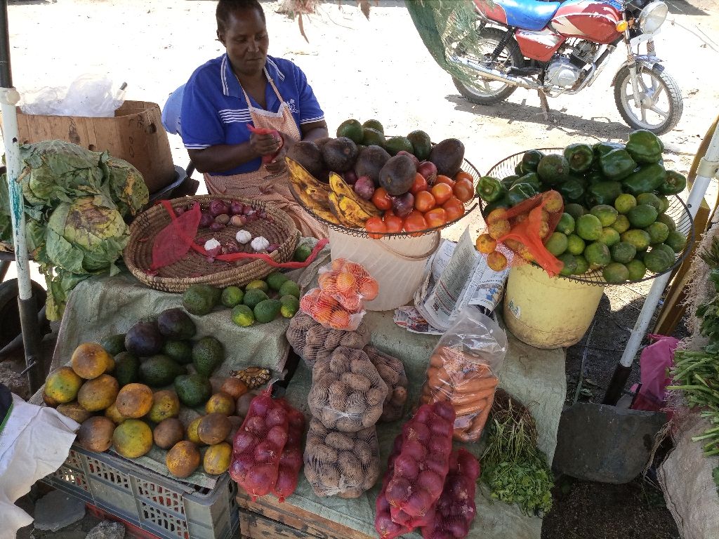 The Turkana Food Environment