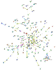 Supplementary Figure 10. Gene network for milk production traits across both breeds.