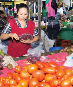Informal agricultural market channels for food security and poverty reduction: Exploring policy options in Nicaragua