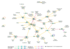 Mapping Literature with Networks: An Application to Redistricting