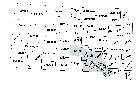 Replication Data for: Restoring Indian Reservation Status: An Empirical Analysis