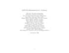 The Local Governance Performance Index (LGPI) Household Survey 2016: Malawi