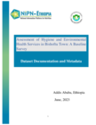 Assessment of Hygiene and Environmental Health Services in Bishoftu Town: A Baseline Survey