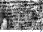 Replication data for "Photonic crystals built by time in ancient Roman glass"