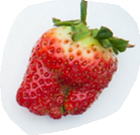 Imperfect Strawberry: An open image dataset of imperfect Strawberries for successful automated recognition and sorting based on produce visual characteristics.