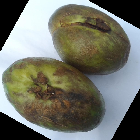 Bad Guava: An open image dataset of bad Guavas for machine vision enabled automated grading based on produce visual characteristics.