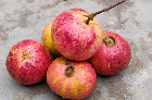 Imperfect Guava: An open image dataset of imperfect Guavas for machine vision enabled automated grading based on produce visual characteristics.