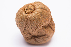 Bad Kiwi: An open image dataset of bad Kiwis for machine vision enabled automated grading of produce based on visual characteristics.