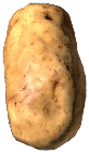 Good Potato: An open image dataset of good Potatoes for machine vision enabled automated grading of produce based on visual characteristics