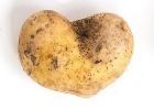 Imperfect Potato: An open image dataset of imperfect Potatoes for machine vision enabled grading of produce based on visual characteristics.