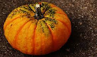 Bad Pumpkin: An open image dataset of bad Pumpkins for machine vision enabled automated grading of produce based on visual characteristics.