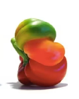 Imperfect Bell Pepper: An open image dataset of imperfect Bell Peppers for machine vision enabled grading of produce based on visual characteristics.