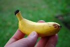 Imperfect Banana: An open image dataset of imperfect Bananas for machine vision enabled grading of produce based on visual characteristics.