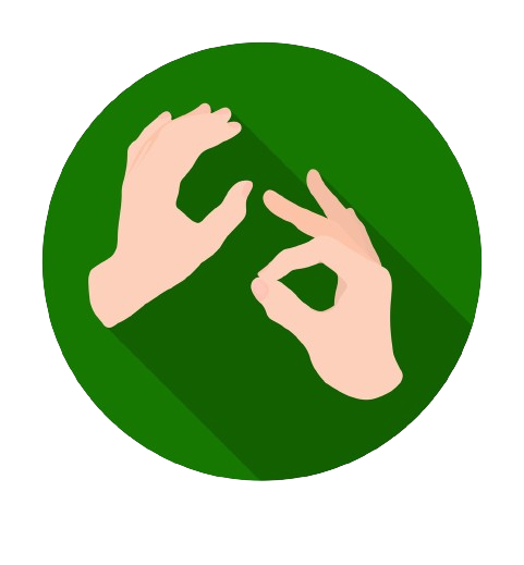 BdSLW102-A Comprehensive Video Dataset for Bengali Sign Word Recognition