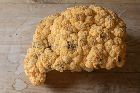 Bad Cauliflower: An open dataset of bad Cauliflower images for training machine vision algorithms for automated recognition and sorting based on produce visual characteristics.